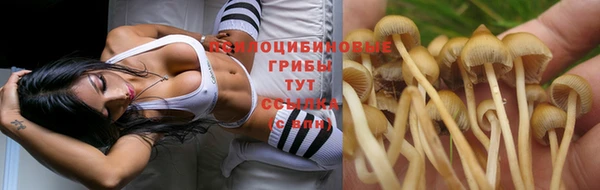 стафф Навашино