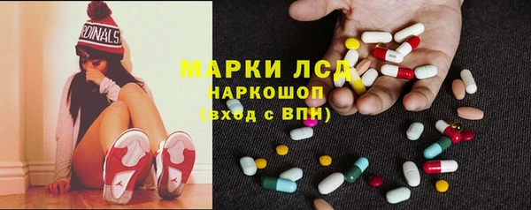 СК Надым