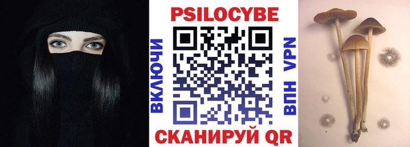 Галлюциногенные грибы Psilocybe  Тюкалинск 