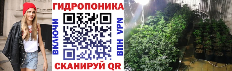 Шишки марихуана сатива  Тюкалинск 